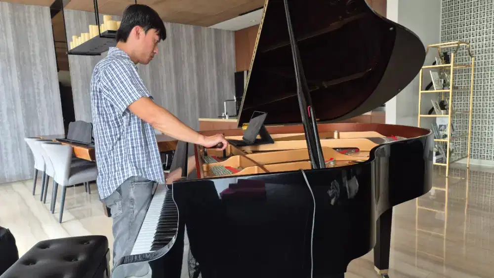 Stem Piano Tuning Upright Grand Piano