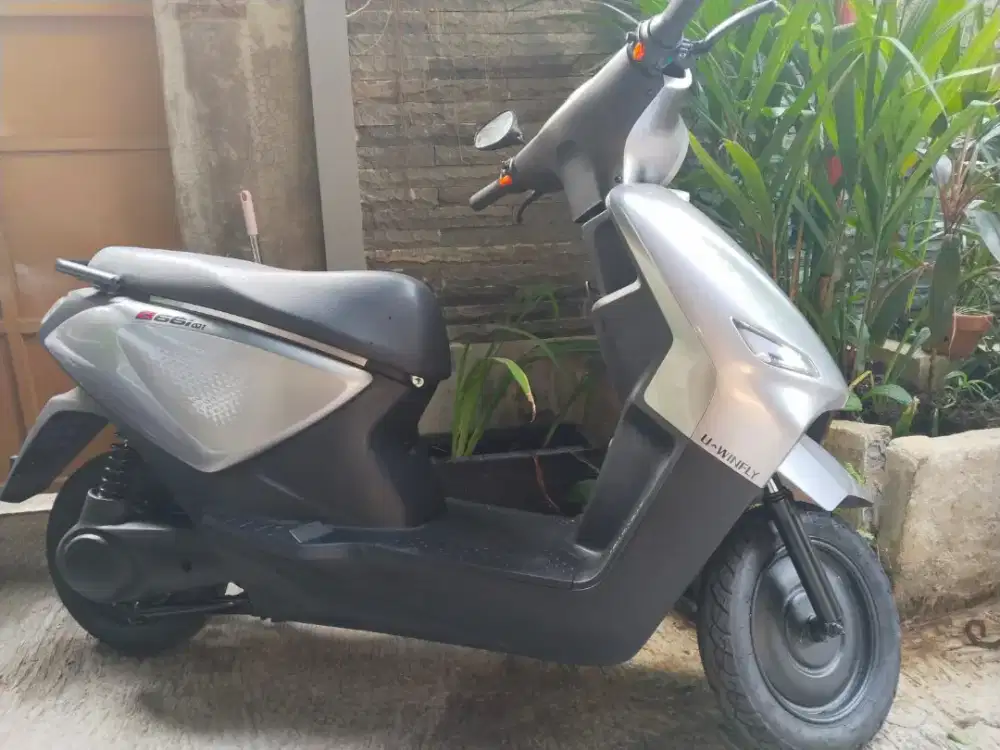 Sepeda Listrik UWINFLY D66i