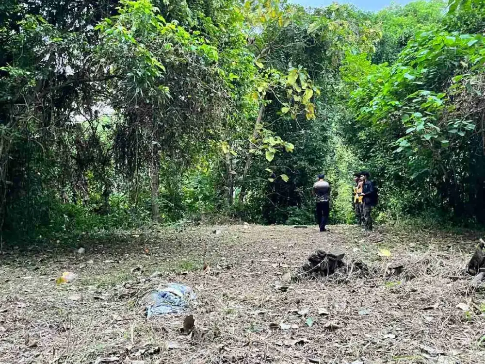 Dijual Tanah 3,6 Are View Sungai dan perkebunan cocok Usaha Villa