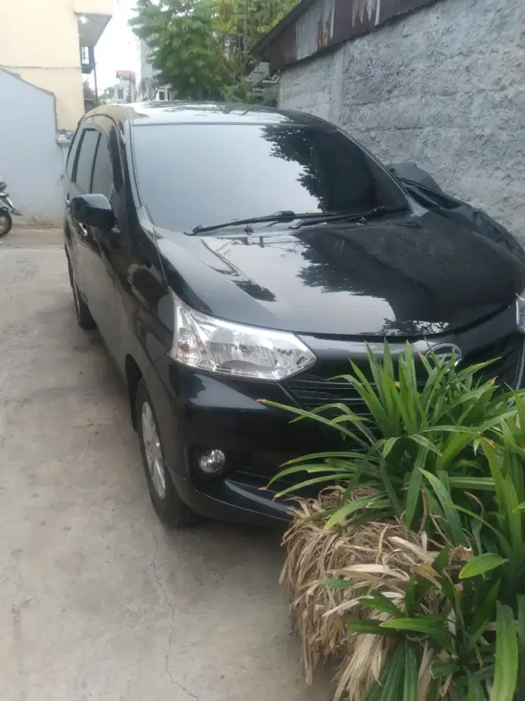 Xenia 1.0 tipe m