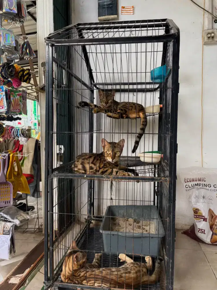 Kandang kuncing pet cargo tas kucing keranjang kucing