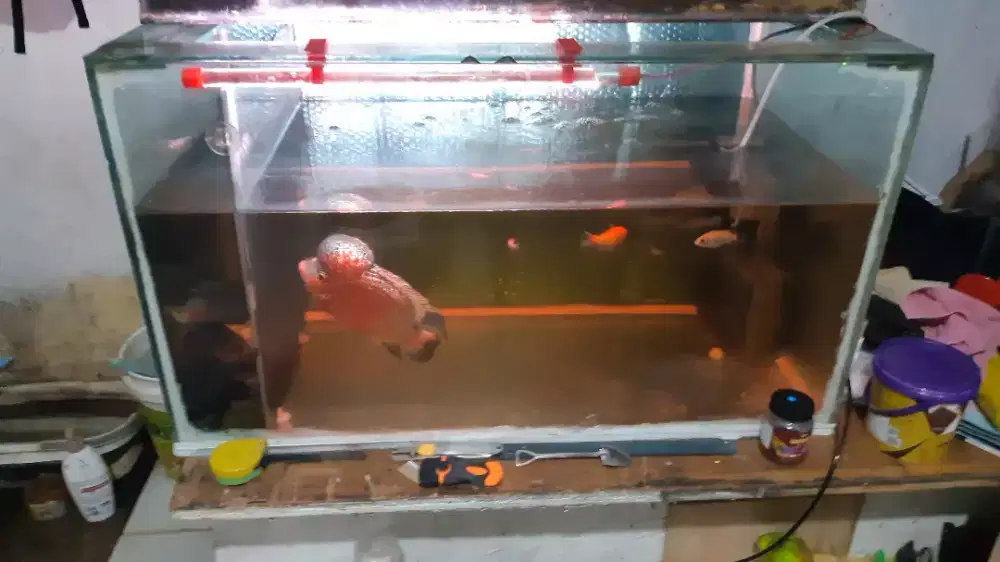 Jual aquarium 905050