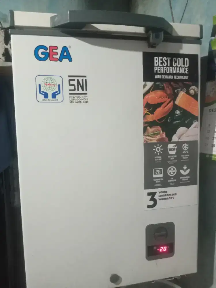FREEZER BOX MERK GEA 100L