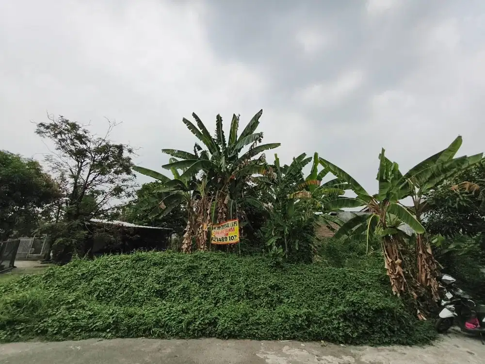 Dijual Tanah Perumahan Safira Regency, Taktakan, Kota Serang, Banten