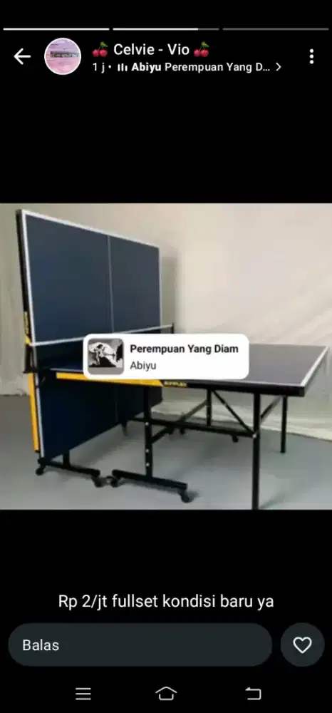 Tenis meja baru