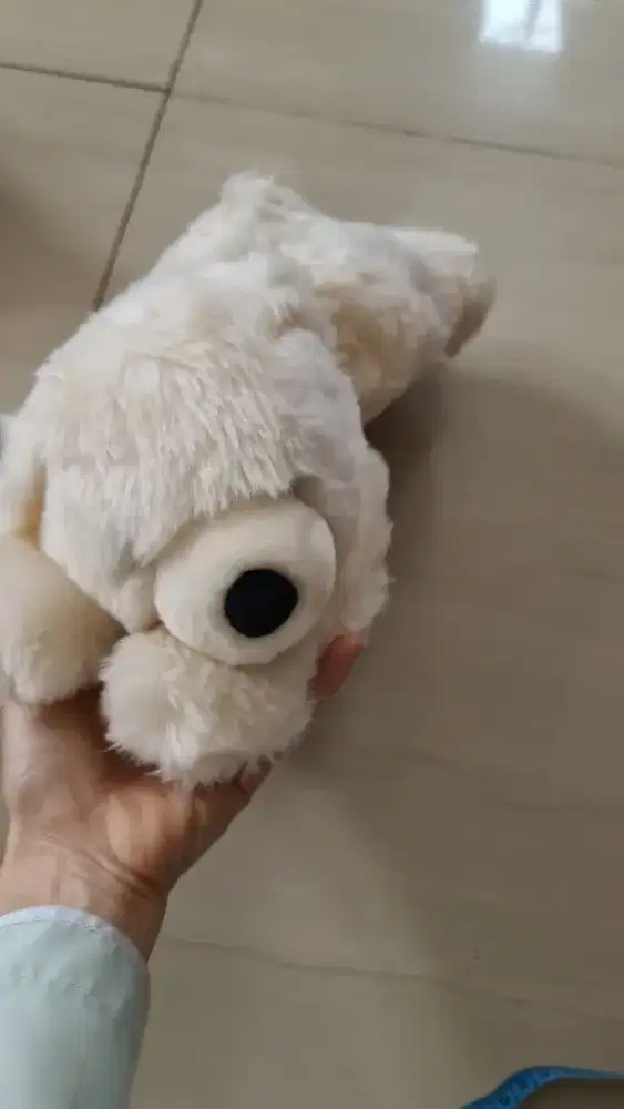 BERAGAM BONEKA Lucu