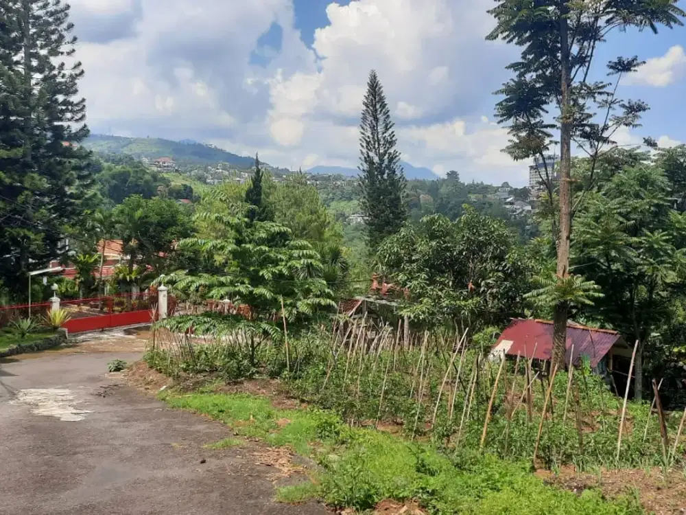 tanah istimewa banget di Lembah Pakar Timur