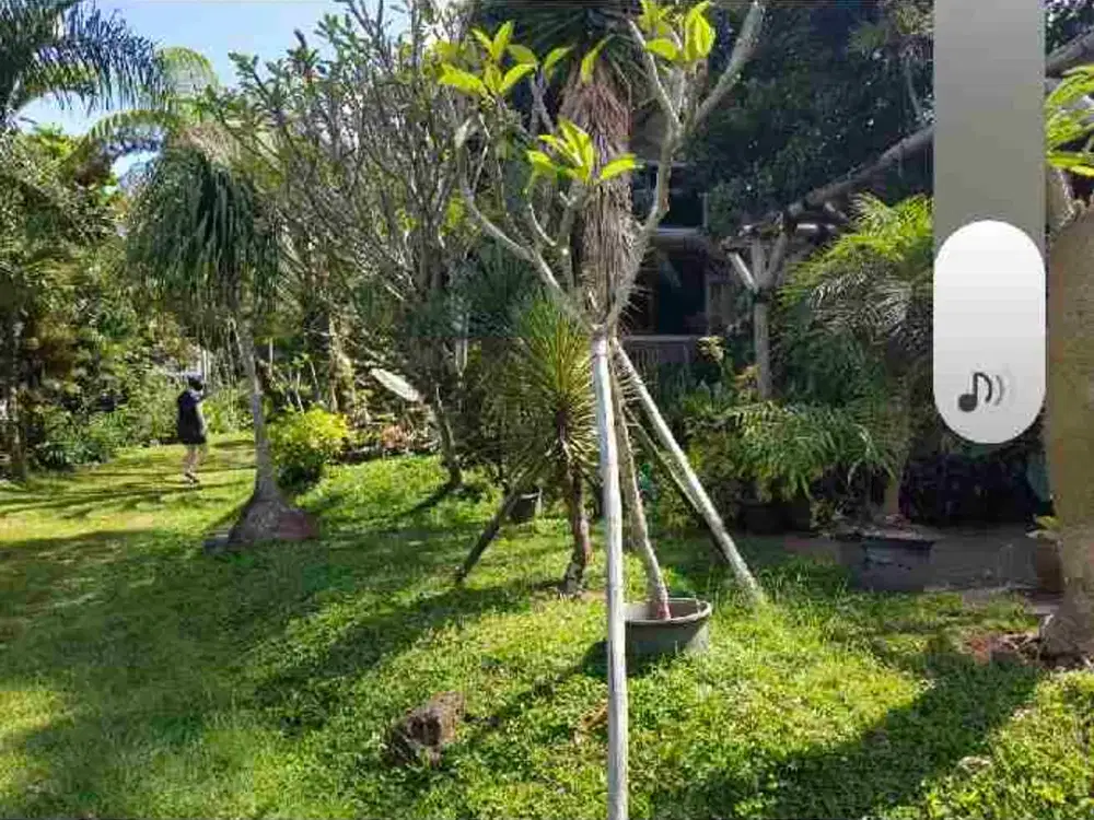 Tanah posisi di atas jalan cocok untuk villa, tempat tinggal