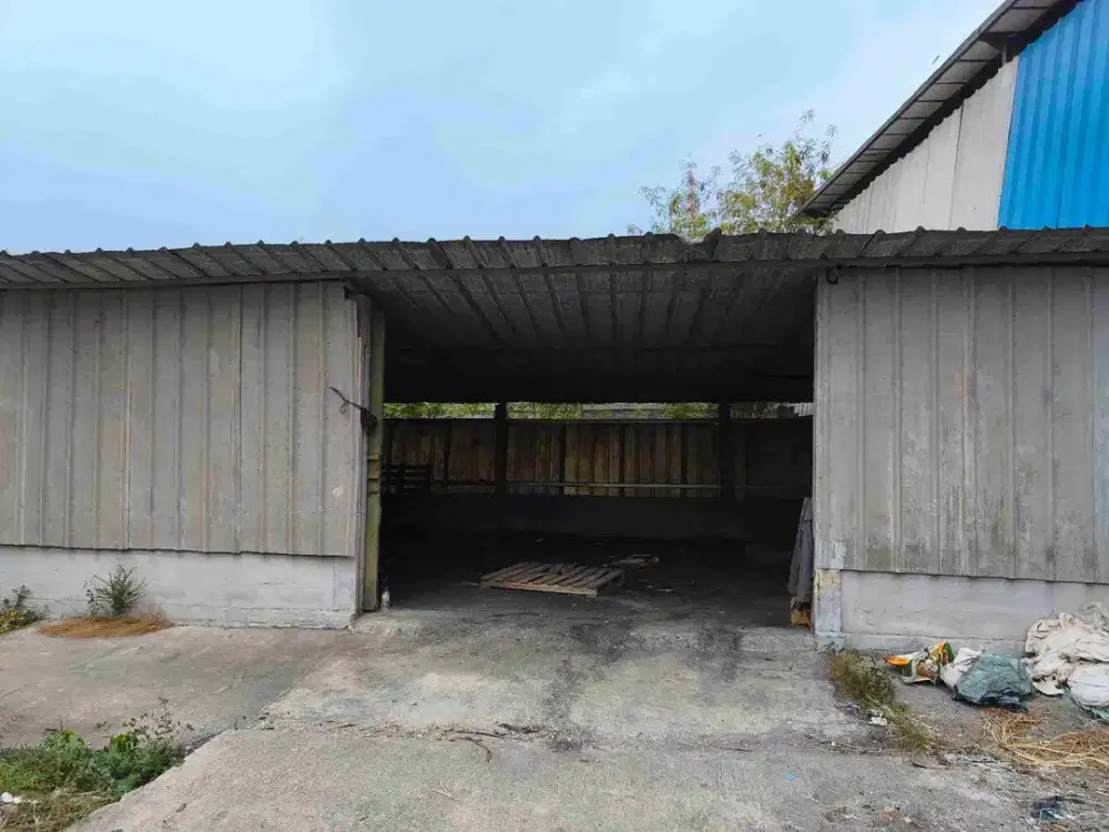 Disewakan gudang 300m diklat pemda tangerang