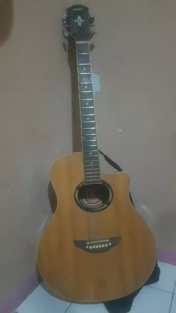Yamaha apx 500 costume