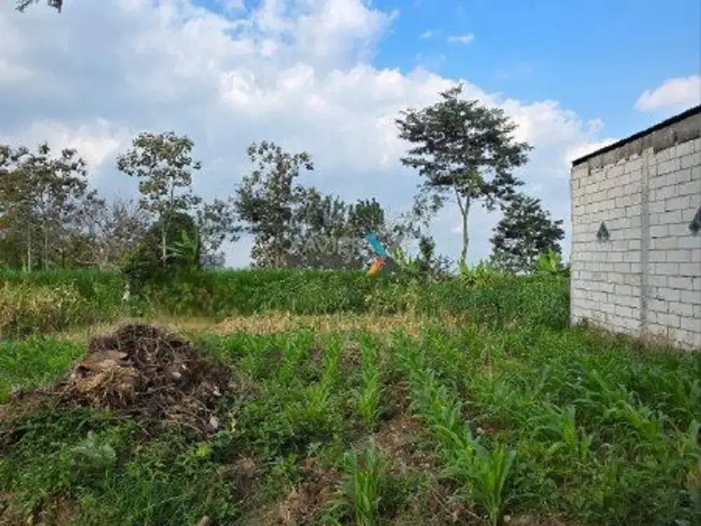 Dijual Tanah Kavling di Jalan Jeruk, Oro - oro Ombo Batu