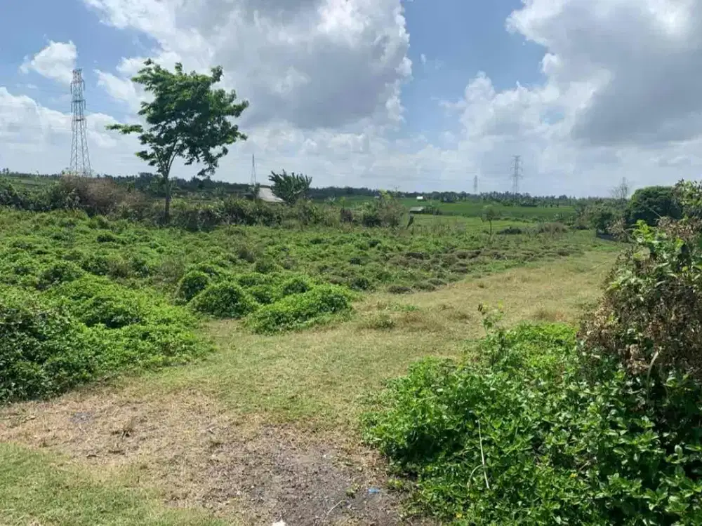 Dijual Tanah Dekat Ke Pantai Kelecung Tabanan