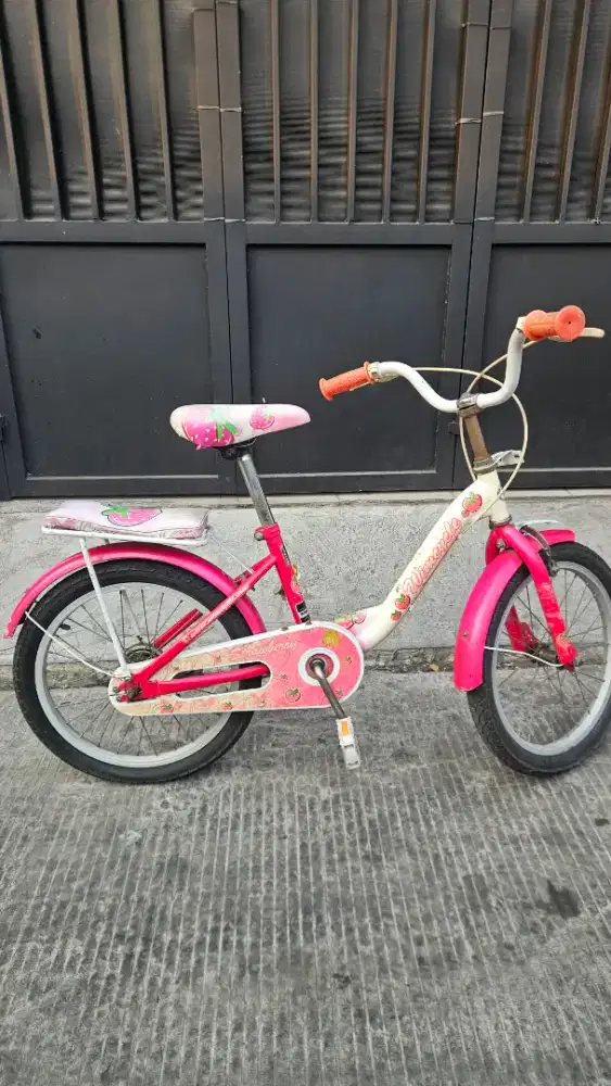 Sepeda Anak Perempuan Wim Cycle Strawberry Mulus Bagus