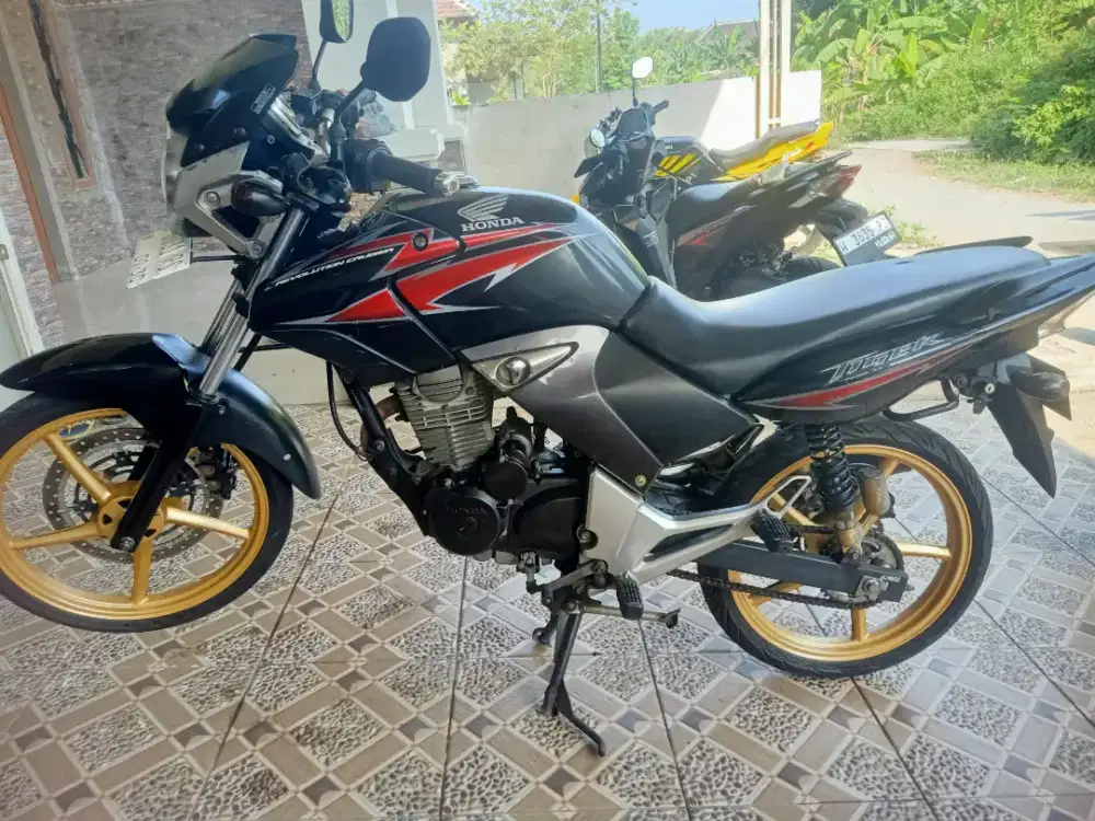 Tiger Revo 2010