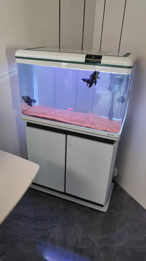 Jual aquarium boyu