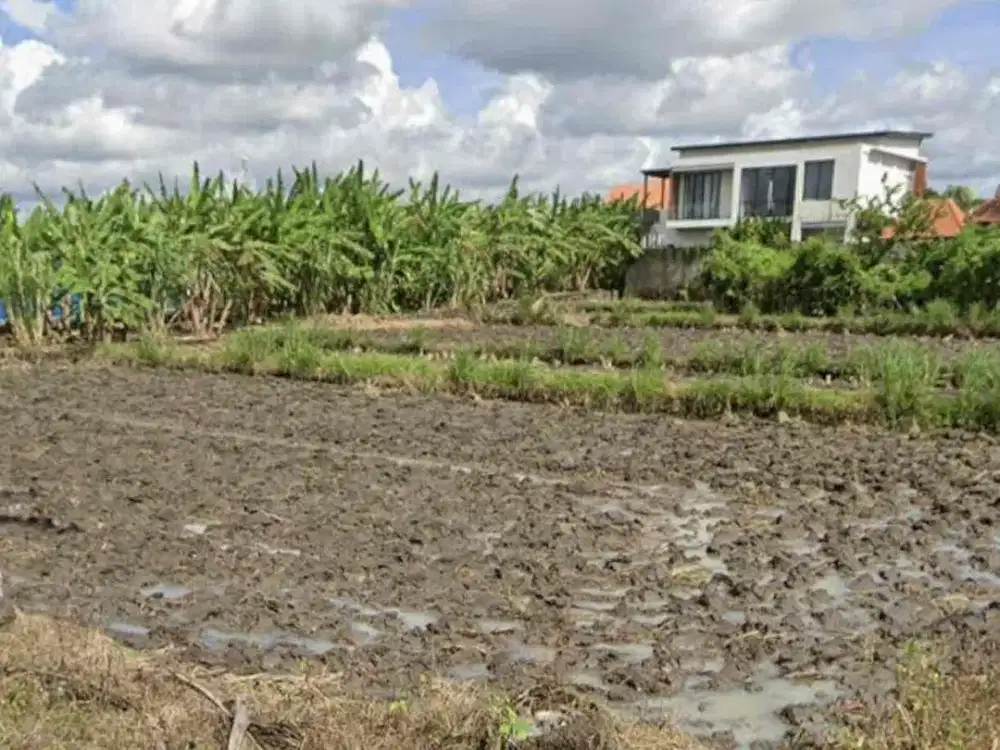 Dijual Tanah Strategis Jalan Sukawati Gianyar