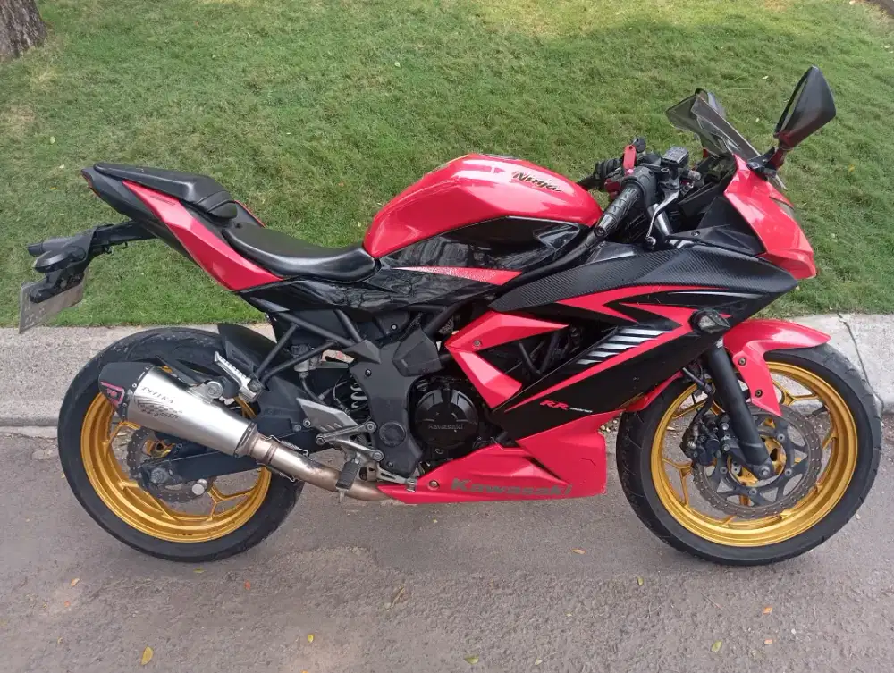 For sale KAWASAKI NINJA RR MONO