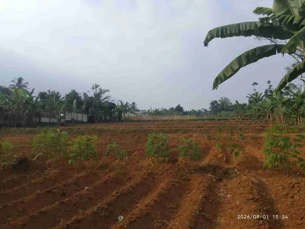 Jual cepat Tanah murah di cicurug sukabumi Buat villa view Gunung salak