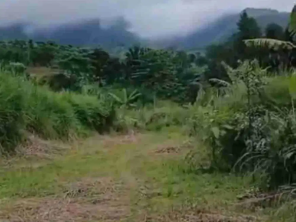 lokasi Murah jual cepat MDPL 700 sejuk view Gunung salak d cigombong bogor