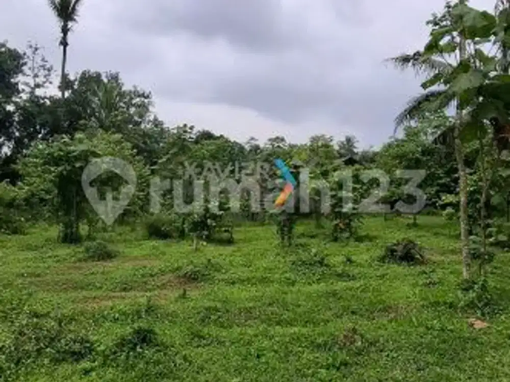 Dijual Tanah Desa Kasembon Bululawang Malang