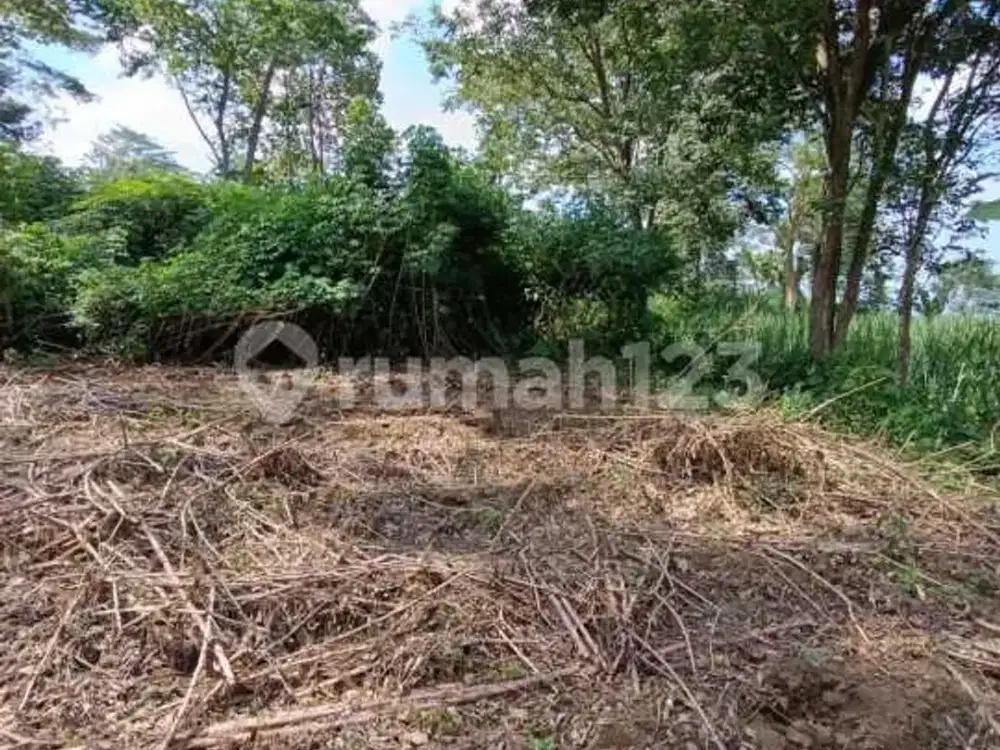 Dijual Tanah di Wonokoyo Kedungkandang Malang