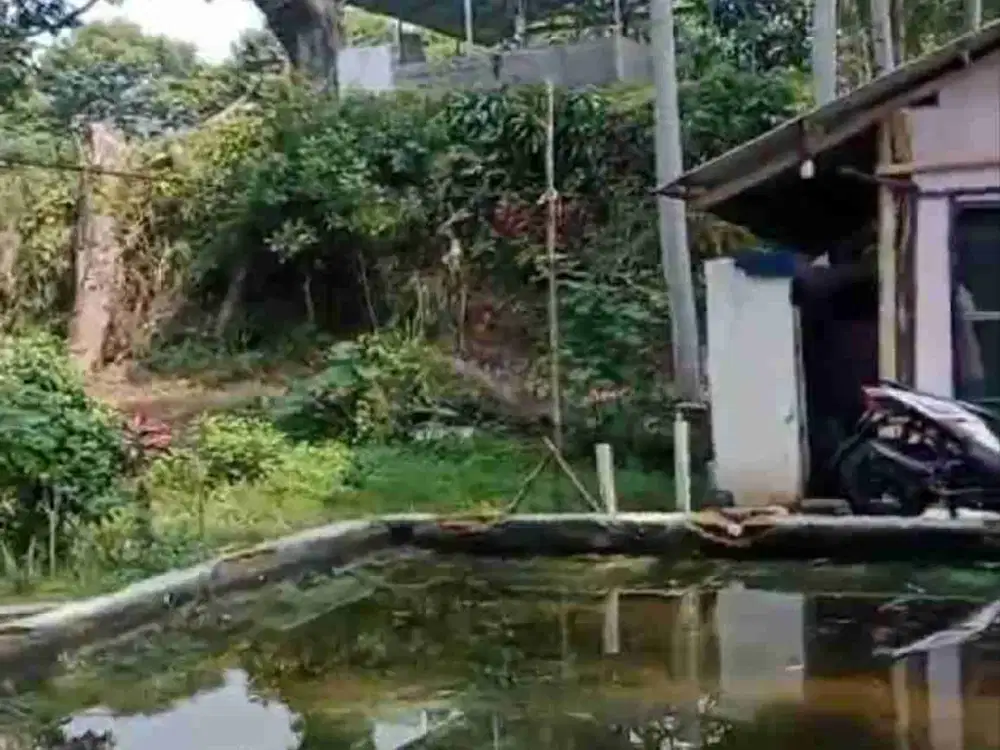 Lokasi Buat investasi & yayasan di Cigombong Bogor View gunung salak MDPL 700