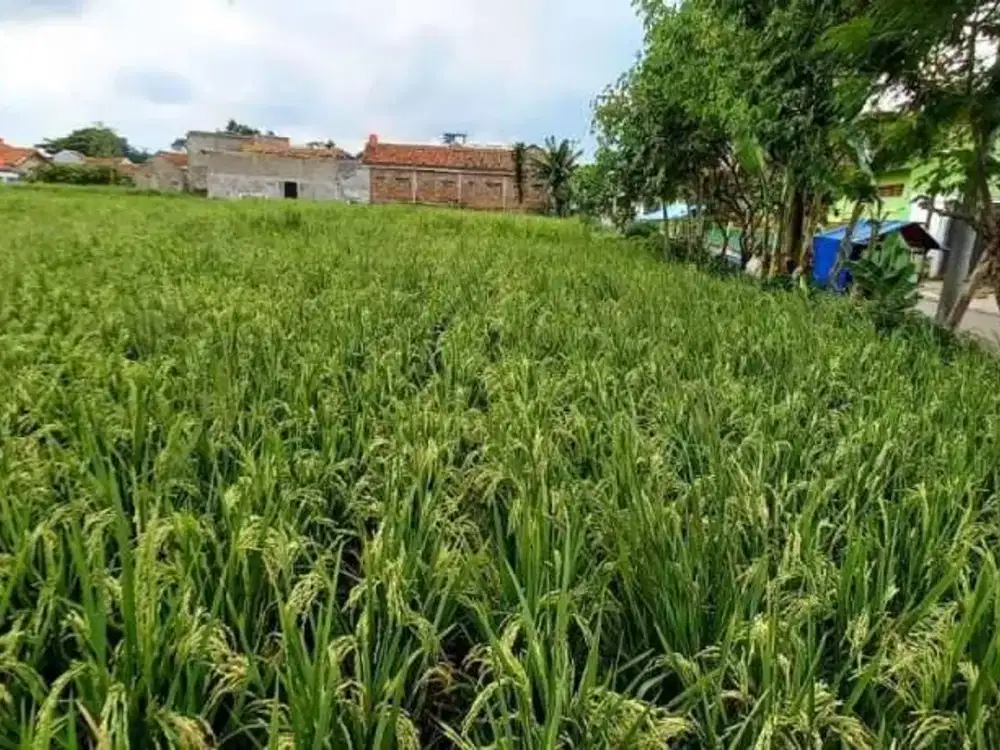 Dijual Tanah di Soreang, Kawasan Strategis Dekat Stadion Jalak Harupat
