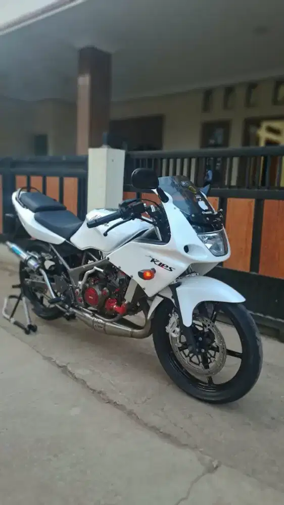 Ninja RR new 2013 white