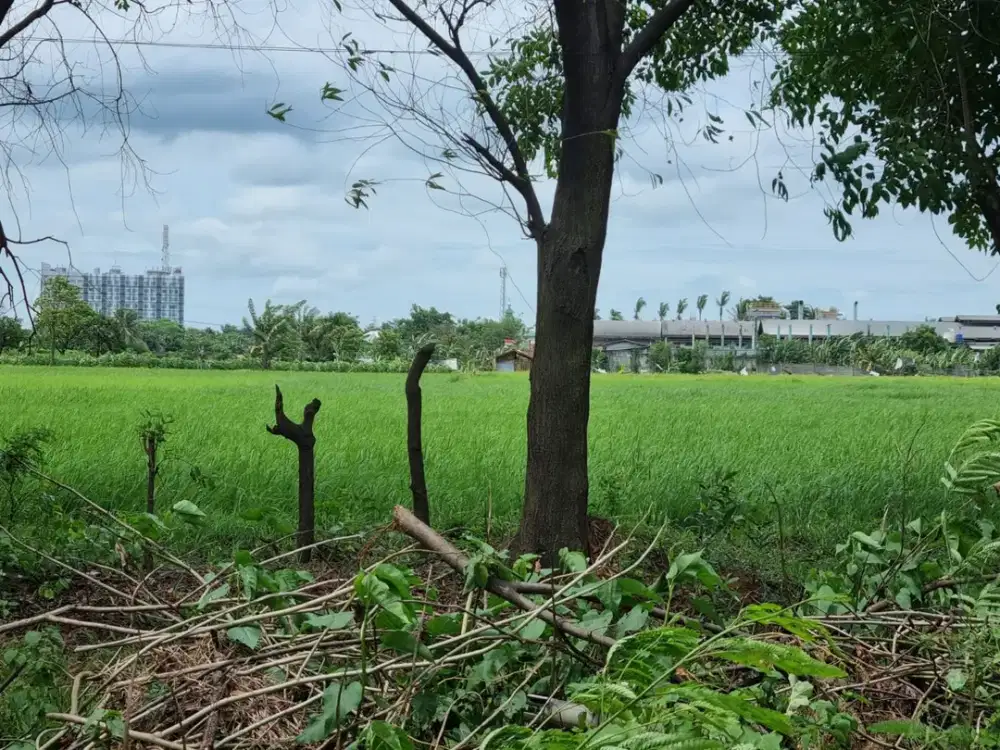 DIJUAL TANAH 30 HA DALAM KAWASAN INDUSTRI PANCATAMA CIKANDE TANGERANG BANTEN