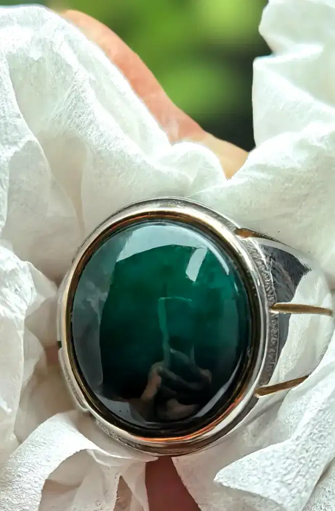 Bacan doko coklat