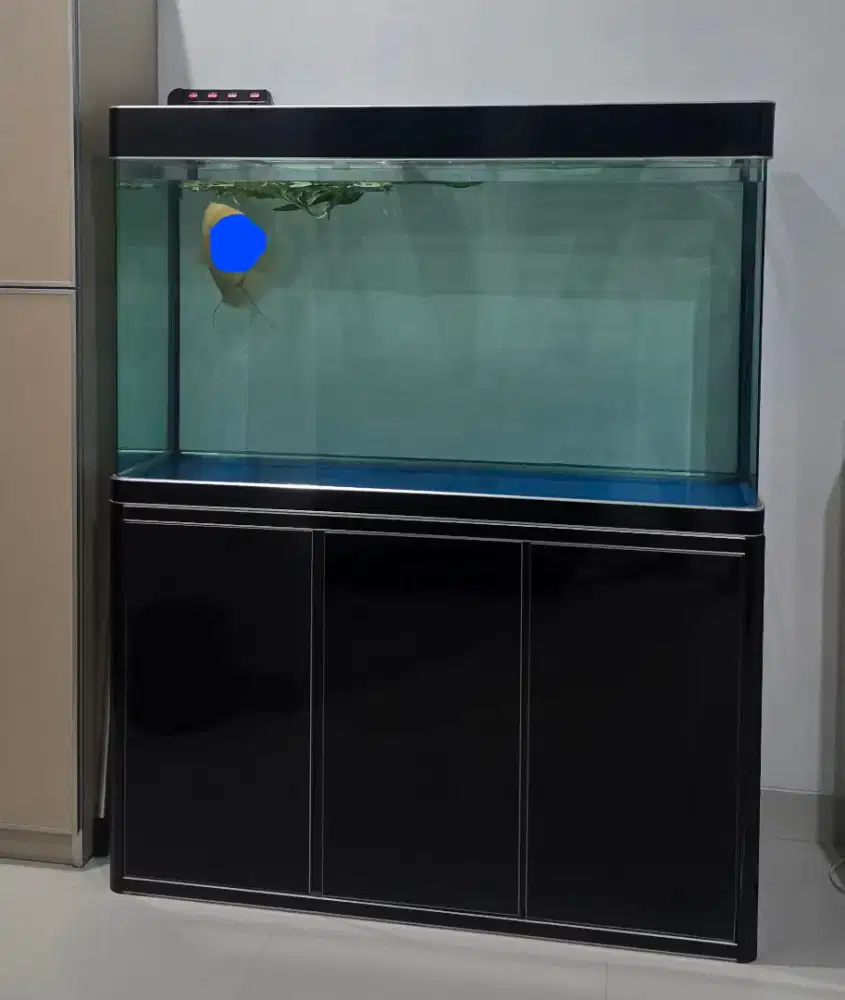 Aquarium impor Boyu / Fishland