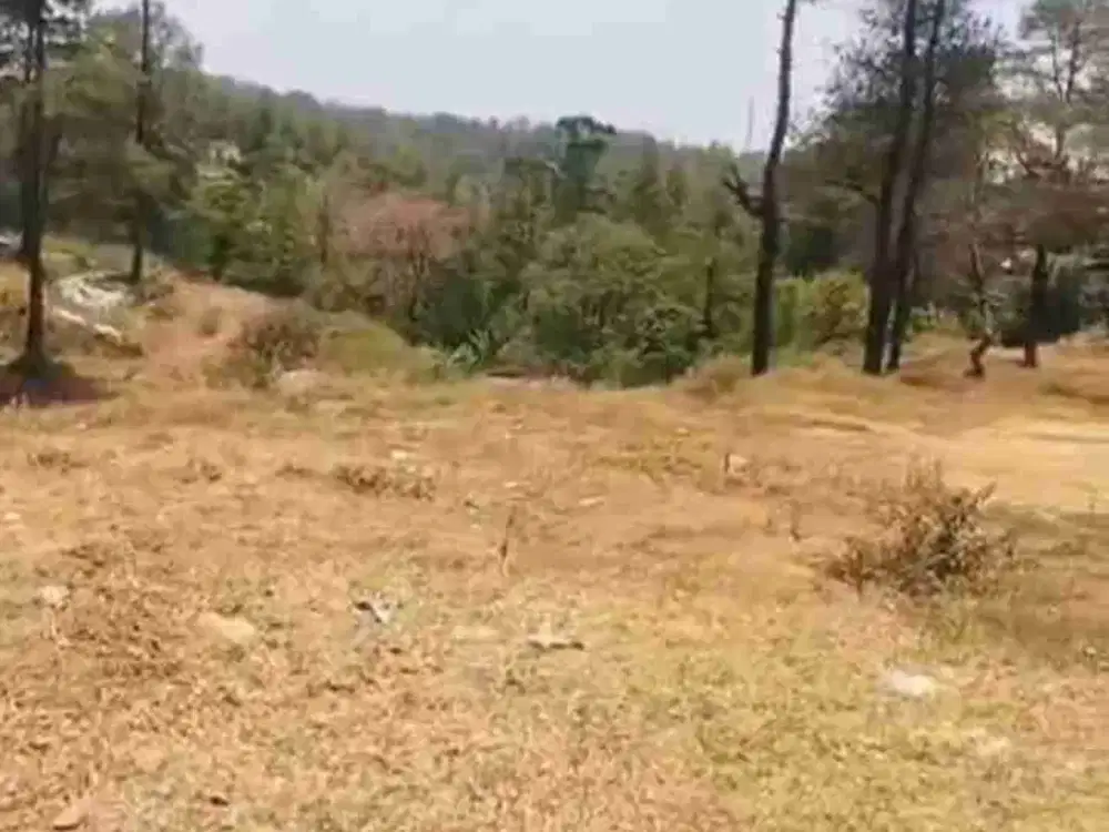 KAVLING MALINO DEKAT KAMPUNG EROPA BATULAPISI