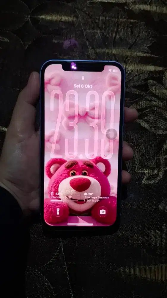 Iphone 12 Purple