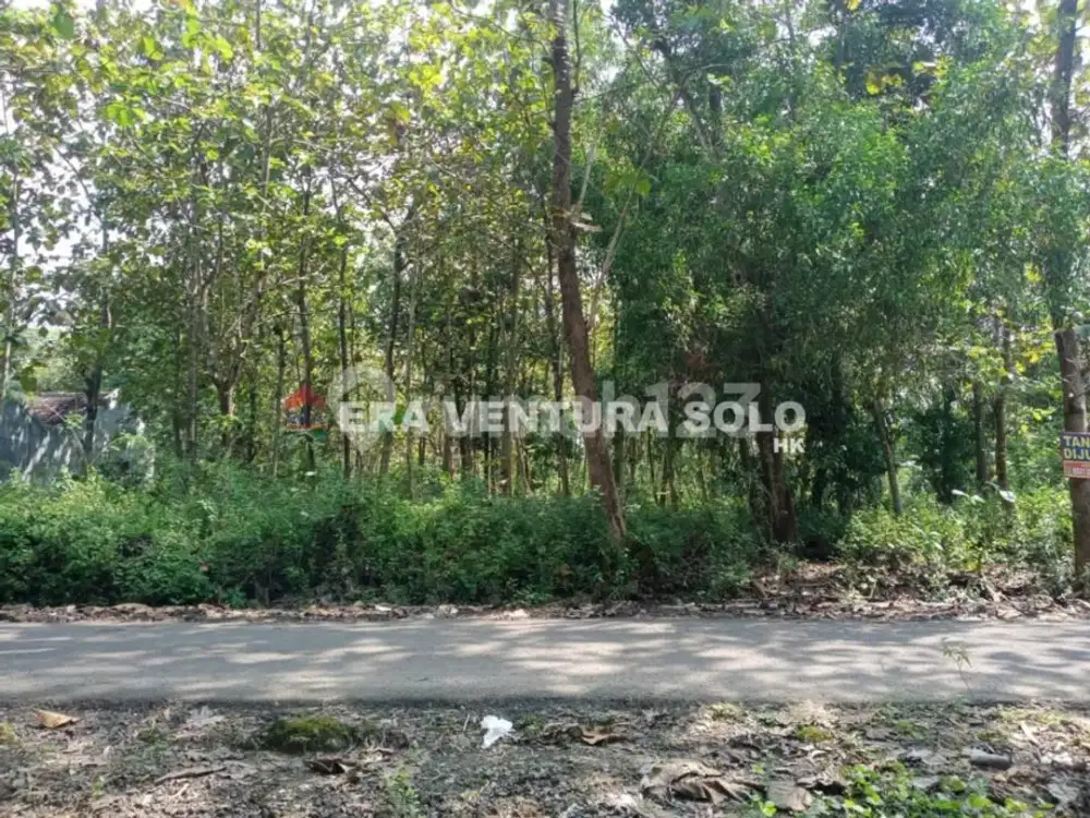 Tanah Pekarangan Strategis Giriwono Wonogiri