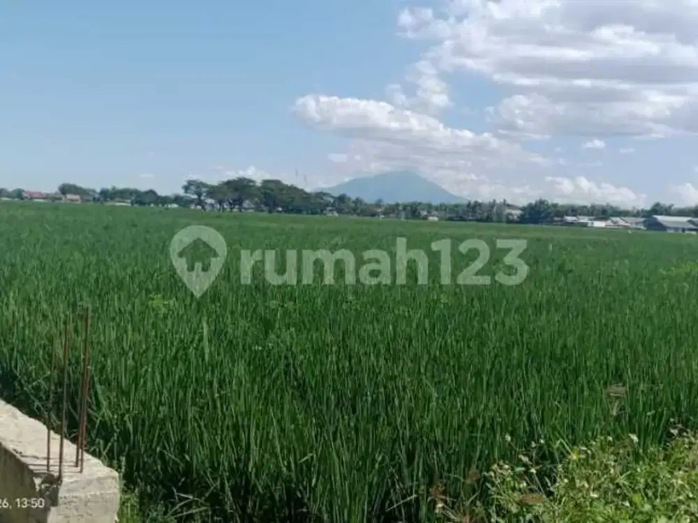 Dijual Tanah Ciujung Serang, Banten