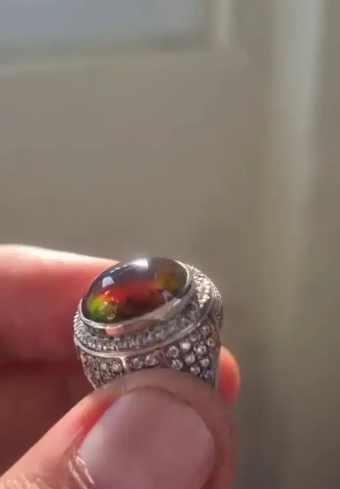 Natural Bacan Cokmer