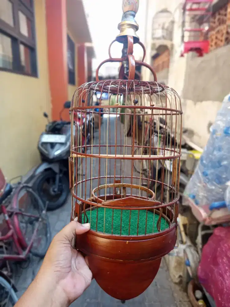 Sangkar model Cungkok DM 22