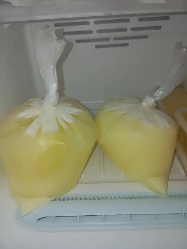 Putih Telur Frozen