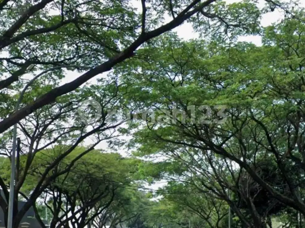 Rumah Hitung Tanah Kavling SHM Alam Sutera Elok Tangerang