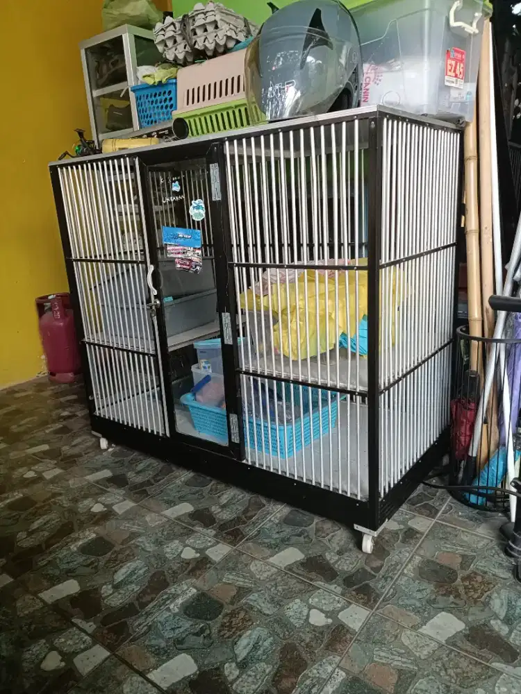 Kandang kucing second