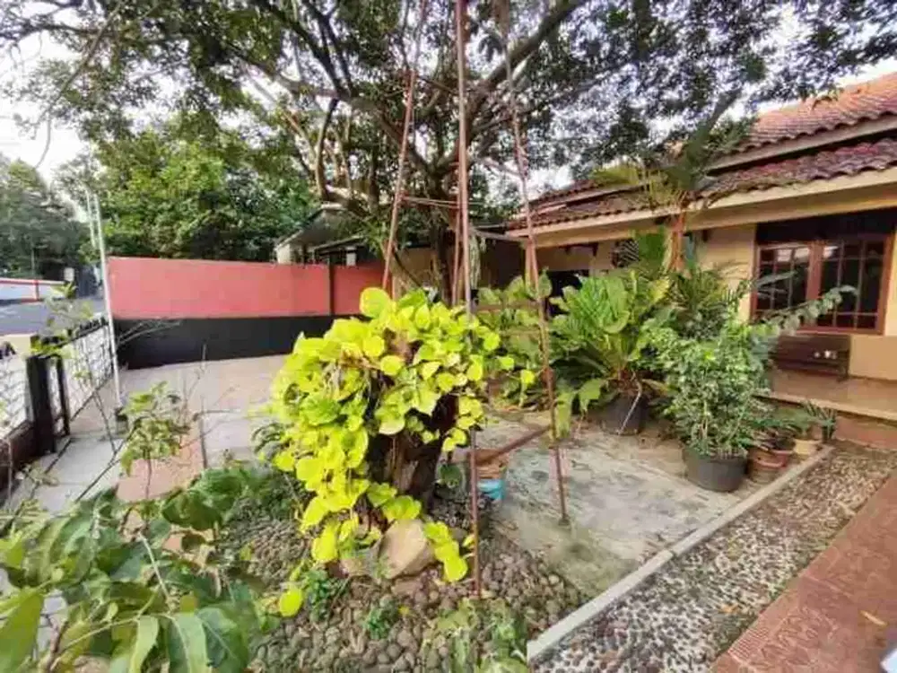 Rumah Semarang Selatan Dekat Gor Jatidiri