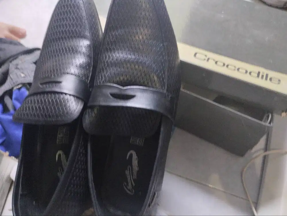 Sepatu pria crocodile