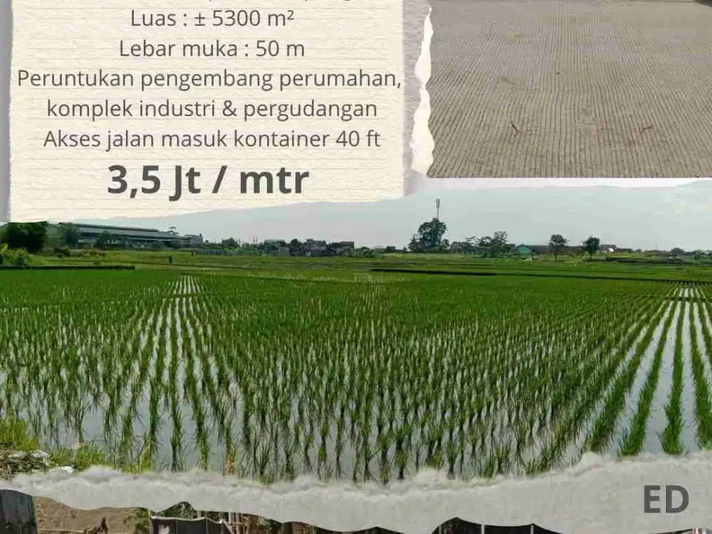 JUAL TANAH SAWAH LUAS CILAMPENI