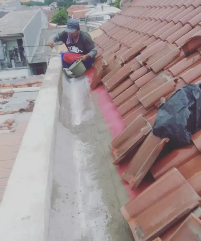 Layanan perbaikan talang air,atap bocor,dinding rembes,flapon,kanopi