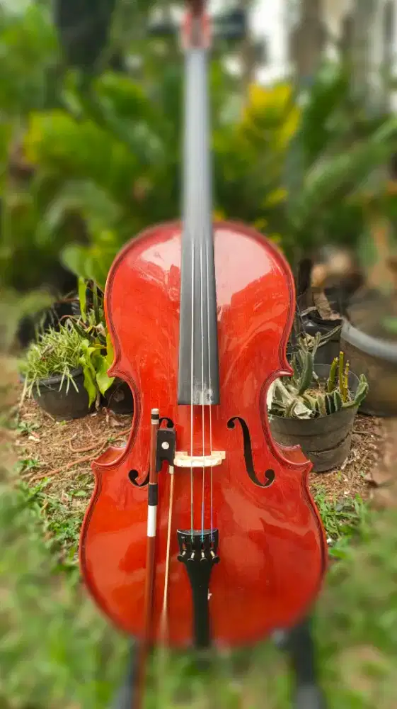 Cello untuk Anak