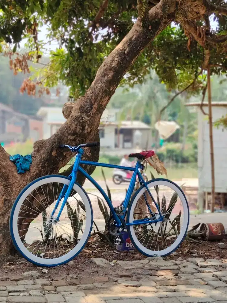 Sepeda New Fixie