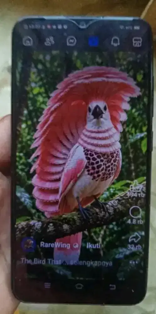 Jual hp vivo y1s layar bsar