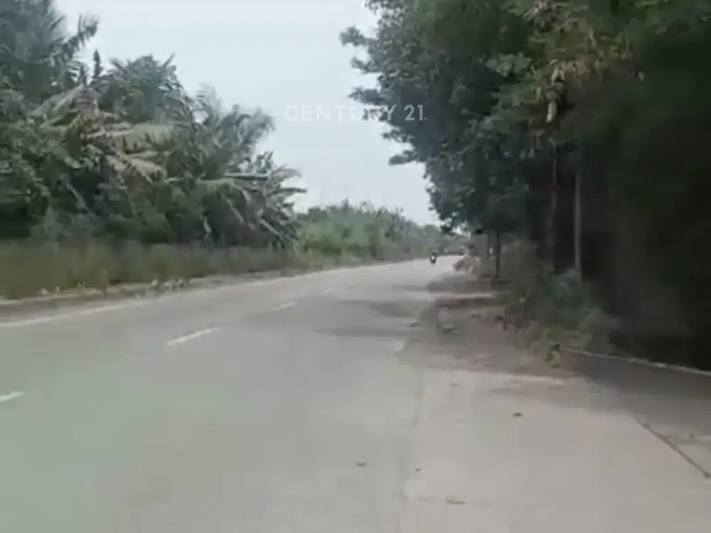 Dijual Lahan Jln Raya Cilincing Cakung Jakarta Timur