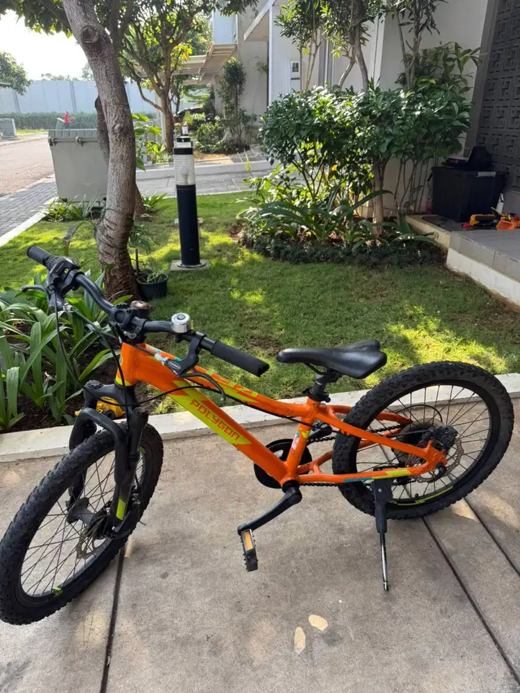 Sepeda Anak Polygon Relic