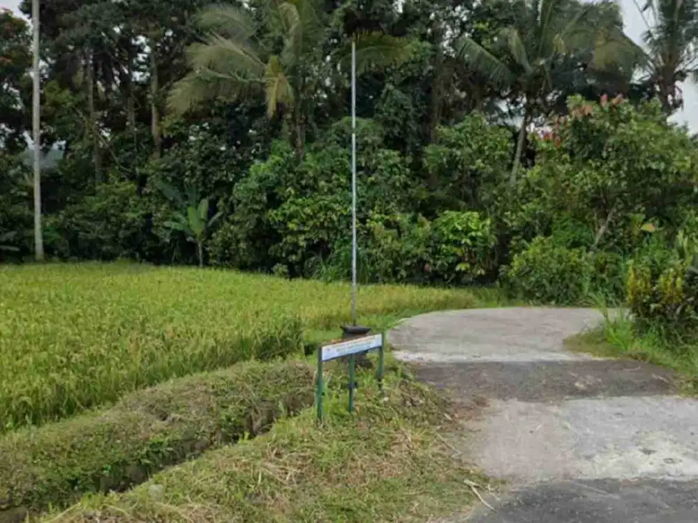Tanah Terasering View Sungai Ayung Di Pangsan Petang Badung